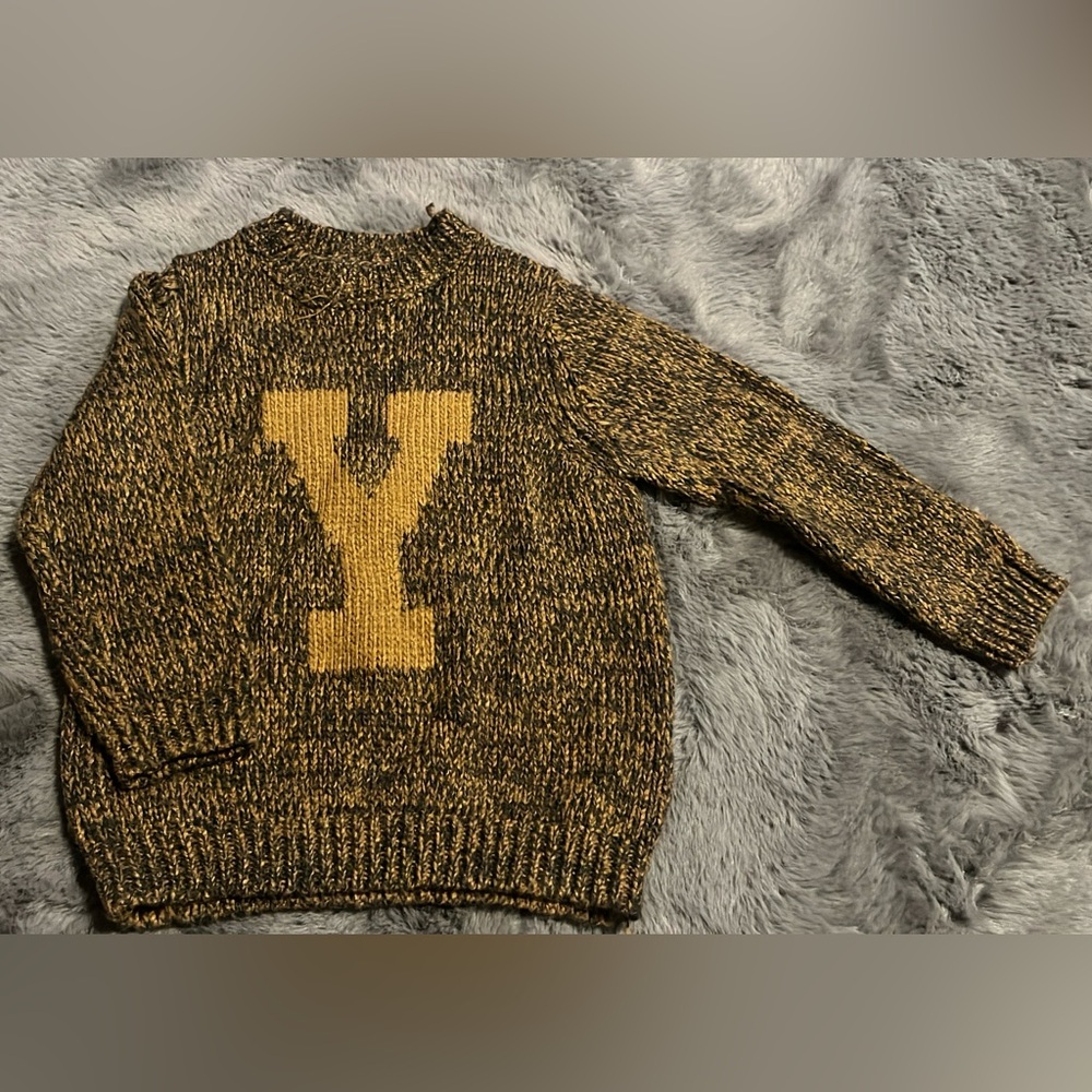 Boys brown sweater